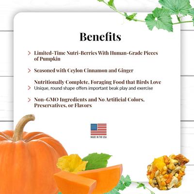 Show full view: Lafeber Pumpkin Spice Nutri-Berries Pellets Budgie Parakeet & Cockatiel Bird Food, 10-oz bag slide 5 of 8