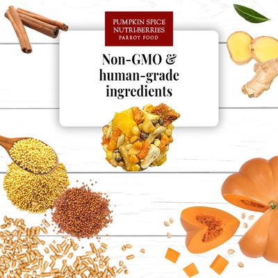Show full view: Lafeber Pumpkin Spice Nutri-Berries Pellets Parrot & Macaw Bird Food, 10-oz bag slide 6 of 8