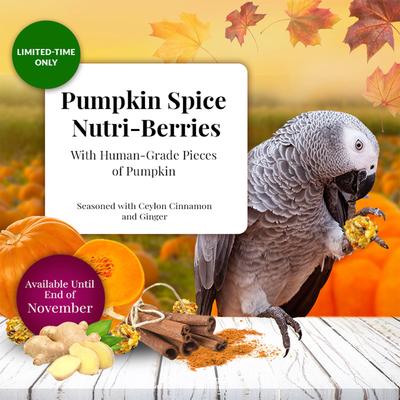 Show full view: Lafeber Pumpkin Spice Nutri-Berries Pellets Parrot & Macaw Bird Food, 10-oz bag slide 4 of 8
