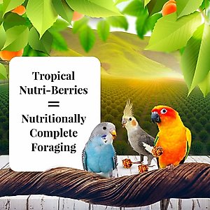 Lafeber Sunny Orchard Nutri-Berries Cockatiel & Parakeet Bird Food, 10-oz bag