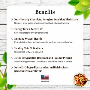 Lafeber Sunny Orchard Nutri-Berries Cockatiel & Parakeet Bird Food, 10-oz bag