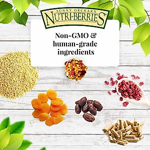 Lafeber Sunny Orchard Nutri-Berries Cockatiel & Parakeet Bird Food, 10-oz bag