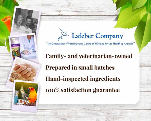 Show full view: Lafeber Sunny Orchard Nutri-Berries Cockatiel & Parakeet Bird Food, 10-oz bag slide 8 of 9