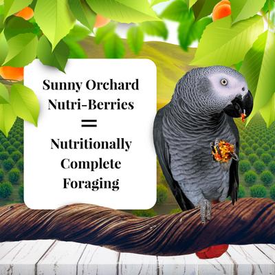 Show full view: Lafeber Sunny Orchard Nutri-Berries Parrot Food, 14-lb tub slide 2 of 7