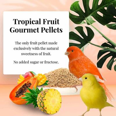 Show full view: Lafeber Tropical Fruit Gourmet Pellets Canary Bird Food, 1.25-lb bag slide 5 of 9