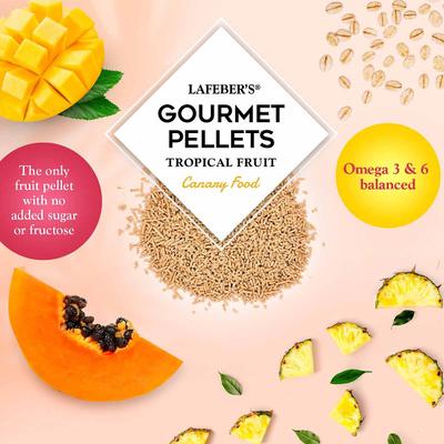 Show full view: Lafeber Tropical Fruit Gourmet Pellets Canary Bird Food, 1.25-lb bag slide 6 of 9