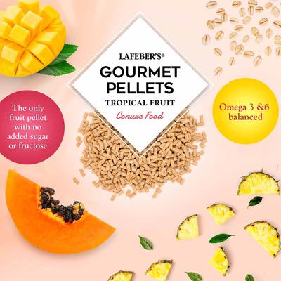 Show full view: Lafeber Tropical Fruit Gourmet Pellets Conure Bird Food, 1.25-lb bag slide 6 of 10