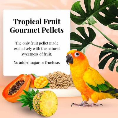 Show full view: Lafeber Tropical Fruit Gourmet Pellets Conure Bird Food, 4-lb bag slide 5 of 10