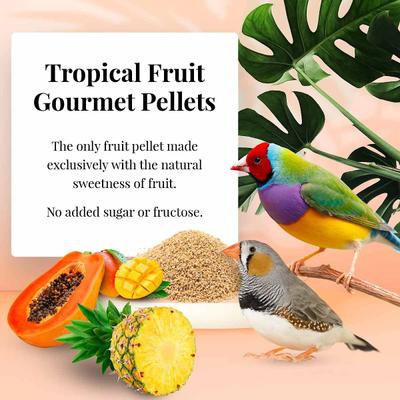 Show full view: Lafeber Tropical Fruit Gourmet Pellets Finch Bird Food, 1-lb bag slide 5 of 10