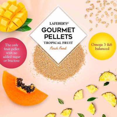 Show full view: Lafeber Tropical Fruit Gourmet Pellets Finch Bird Food, 1-lb bag slide 6 of 10