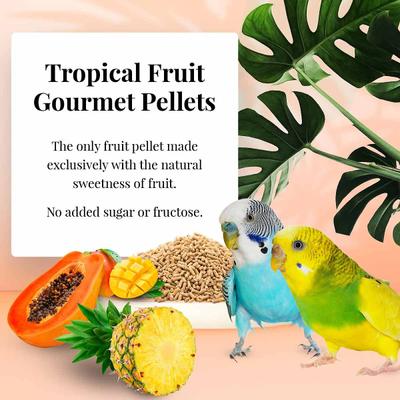 Show full view: Lafeber Tropical Fruit Gourmet Pellets Parakeet Bird Food, 1.25-lb bag slide 5 of 10