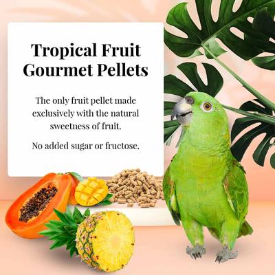 Show full view: Lafeber Tropical Fruit Gourmet Pellets Parrot Bird Food, 1.25-lb bag slide 5 of 9