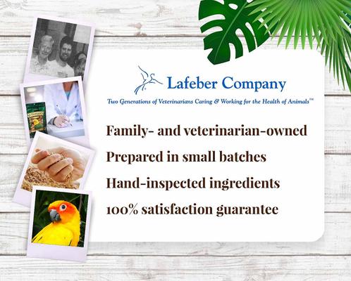 Show full view: Lafeber Tropical Fruit Nutri-Berries Conure Food, 10-oz bag slide 8 of 9