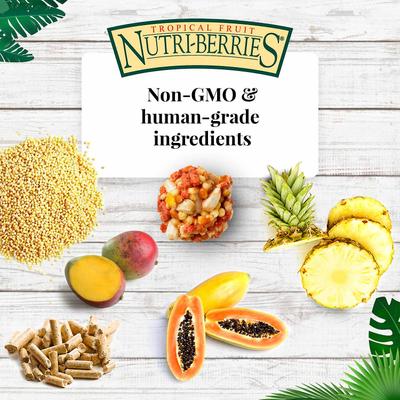 Show full view: Lafeber Tropical Fruit Nutri-Berries Parrot Food, 10-oz bag slide 6 of 9
