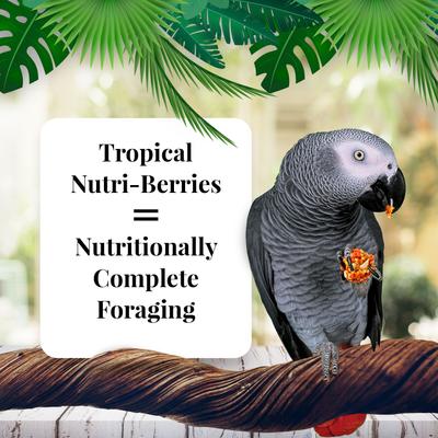 Show full view: Lafeber Tropical Fruit Nutri-Berries Parrot Food, 14-lb tub slide 2 of 7