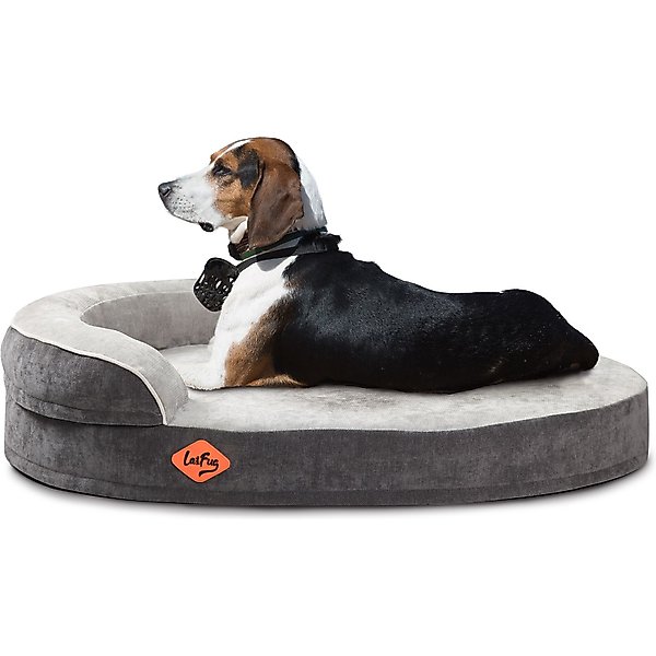 Illustration of Canine Memory Foam Bed With Advanced Pressure Relieving Technology