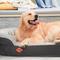 Show in main carousel: LaiFug Chenille Orthopedic Memory Foam Oval Dog Bed, Gray, X-Large slide 5 of 7