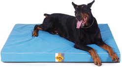 LaiFug Egg Cotton Flat Bolster Dog Bed with Removable Cover, Blue, Large