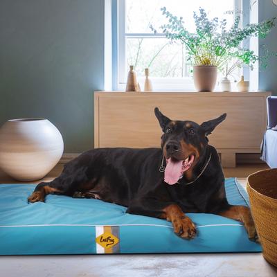 Show full view: LaiFug Egg Cotton Flat Bolster Dog Bed with Removable Cover, Blue, Large slide 2 of 10