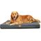 Show in main carousel: LaiFug Egg Cotton Flat Bolster Dog Bed with Removable Cover, Dark Grey, Large slide 1 of 12