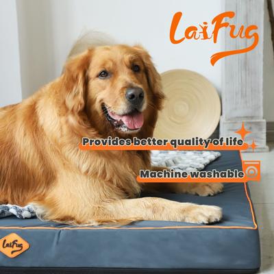 Show full view: LaiFug Egg Cotton Flat Bolster Dog Bed with Removable Cover, Dark Grey, Large slide 6 of 12