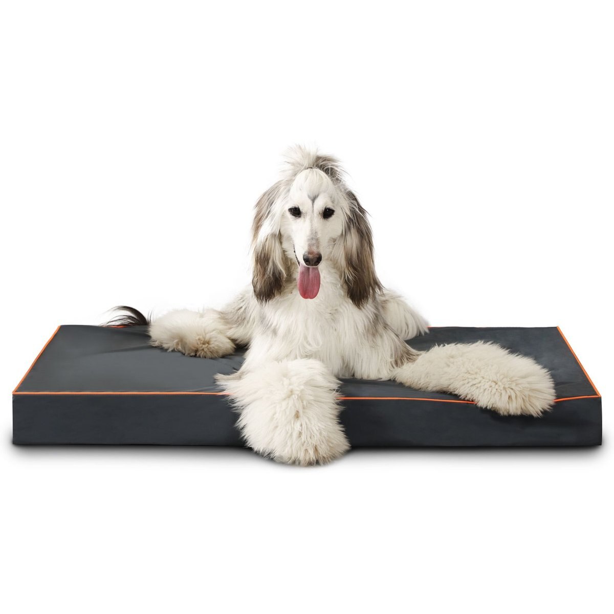 LaiFug Egg Cotton Flat Bolster Dog Bed with Removable Cover, Dark Grey, Medium