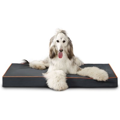 LaiFug LaiFug Egg Cotton Flat Bolster Dog Bed with Removable Cover, Dark Grey, Medium