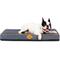 Show in main carousel: LaiFug Egg Cotton Flat Bolster Dog Bed with Removable Cover, Dark Grey, Small slide 1 of 10