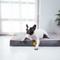 Show in main carousel: LaiFug Egg Cotton Flat Bolster Dog Bed with Removable Cover, Dark Grey, Small slide 4 of 10