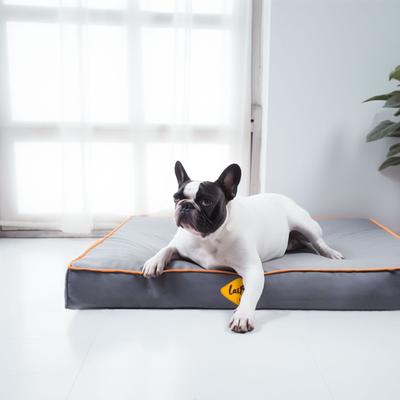 Show full view: LaiFug Egg Cotton Flat Bolster Dog Bed with Removable Cover, Dark Grey, Small slide 4 of 10