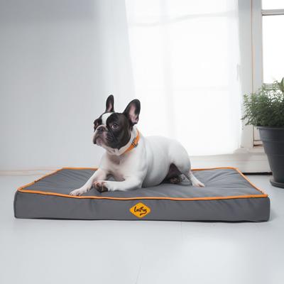 Show full view: LaiFug Egg Cotton Flat Bolster Dog Bed with Removable Cover, Dark Grey, Small slide 3 of 10