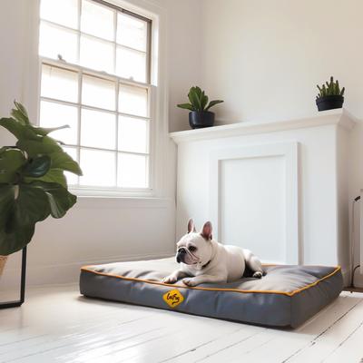 Show full view: LaiFug Egg Cotton Flat Bolster Dog Bed with Removable Cover, Dark Grey, Small slide 2 of 10