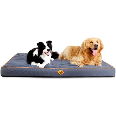 LaiFug LaiFug Egg Cotton Flat Bolster Dog Bed with Removable Cover, Dark Grey, X-Large