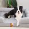 Show in main carousel: LaiFug Floral Yarn Dog Bed Sofa, Black & White, Medium slide 6 of 7