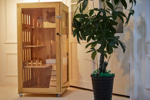 Show full view: LaiFug K6 Double Door Cat Villa, Wood, Large slide 7 of 7