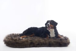 LaiFug Luxury Faux Fur Sheepskin Dog Bed, Large, Grey & Black