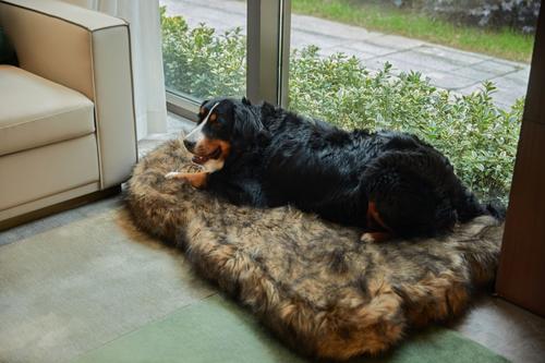 Show full view: LaiFug Luxury Faux Fur Sheepskin Dog Bed, Large, Grey & Black slide 5 of 7