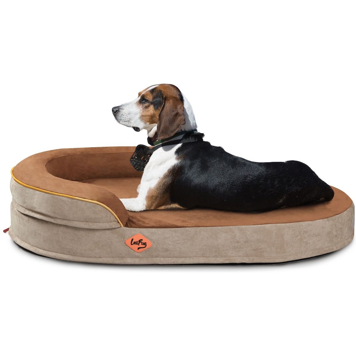 LaiFug Memory Foam Orthopedic Oval Dog Bed, Chocolate, Medium