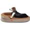 Show in main carousel: LaiFug Memory Foam Orthopedic Oval Dog Bed, Chocolate, Medium slide 1 of 8