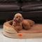 Show in main carousel: LaiFug Memory Foam Orthopedic Oval Dog Bed, Chocolate, Small slide 5 of 7