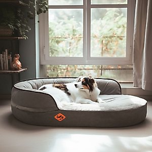 LaiFug Memory Foam Orthopedic Oval Dog Bed, Dark Gray, Medium