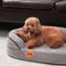 Show in main carousel: LaiFug Memory Foam Orthopedic Oval Dog Bed, Dark Gray, Small slide 6 of 8