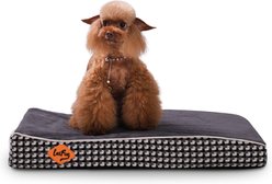 LaiFug Orthopedic Dog Bed, Black & White, Small