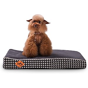 LaiFug Orthopedic Dog Bed, Black & White, Small