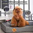 Show in main carousel: LaiFug Orthopedic Dog Bed, Black & White, Small slide 6 of 6