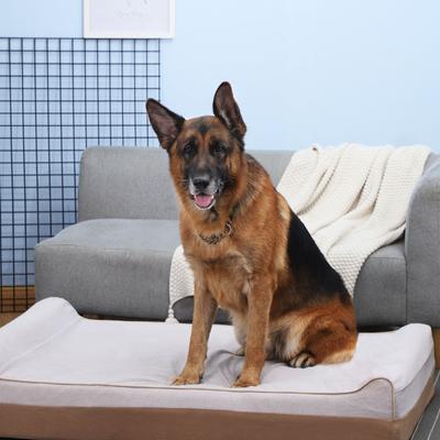 Show full view: LaiFug Orthopedic Double Pillow Dog Bed with Removable Cover, Beige, Jumbo slide 4 of 8