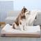 Show in main carousel: LaiFug Orthopedic Double Pillow Dog Bed with Removable Cover, Beige, Jumbo slide 3 of 8