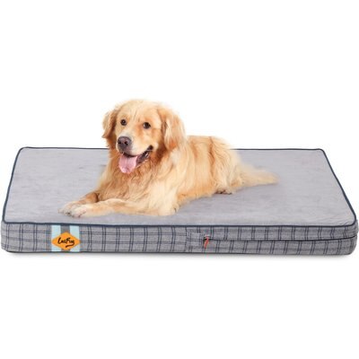 LaiFug LaiFug Orthopedic Flat Dog Bed with Removable Cover, Grey Blue Plaid, X-Large