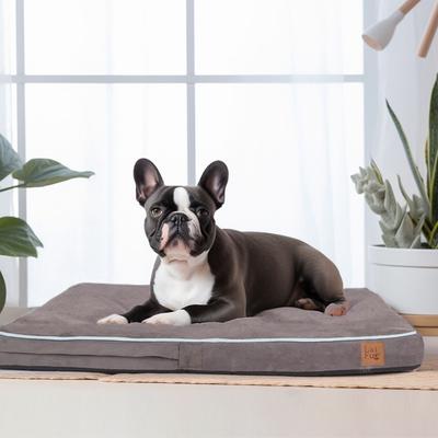 Show full view: LaiFug Orthopedic Flat Dog Bed with Removable Cover, Slate Grey, Small slide 2 of 8