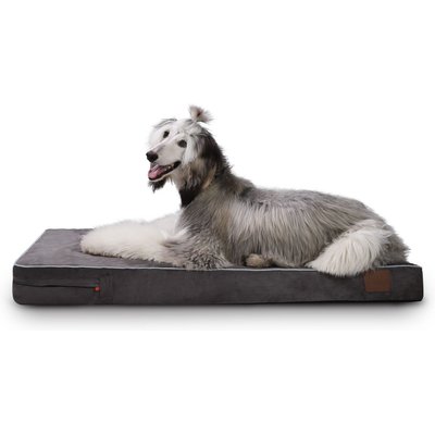 LaiFug LaiFug Orthopedic Memory Foam Dog Bed, Gray & blue, Large